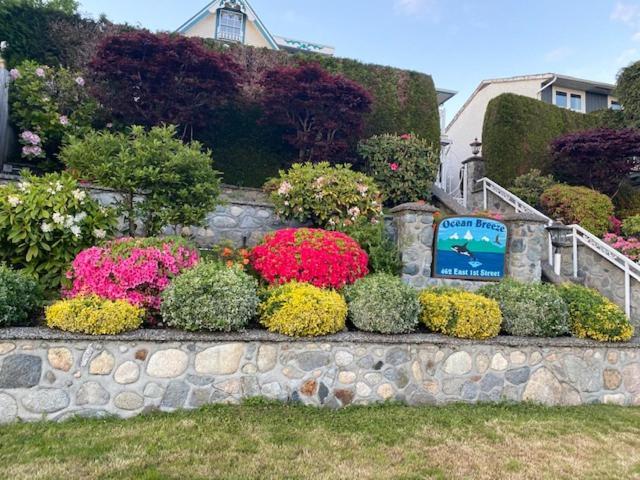 Ocean Breeze Executive Bed And Breakfast North Vancouver Luaran gambar