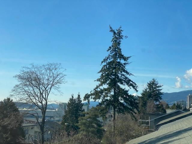 Ocean Breeze Executive Bed And Breakfast North Vancouver Luaran gambar